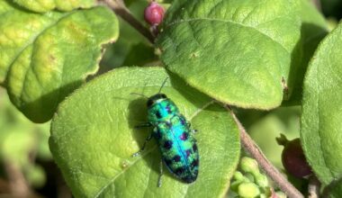 Was ist das denn für einer?