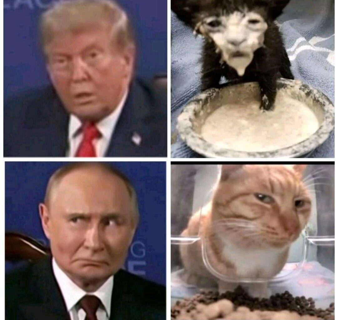 Alaska-Gespräche lösen Memes aus
