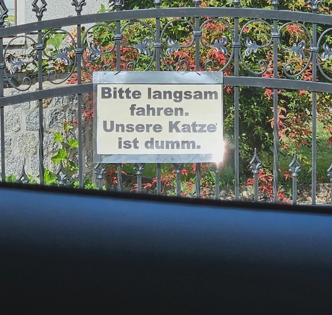 Mačkobota