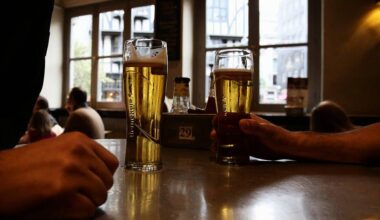 Irish people pay 11 times more excise duty on beer than Germans, research shows
