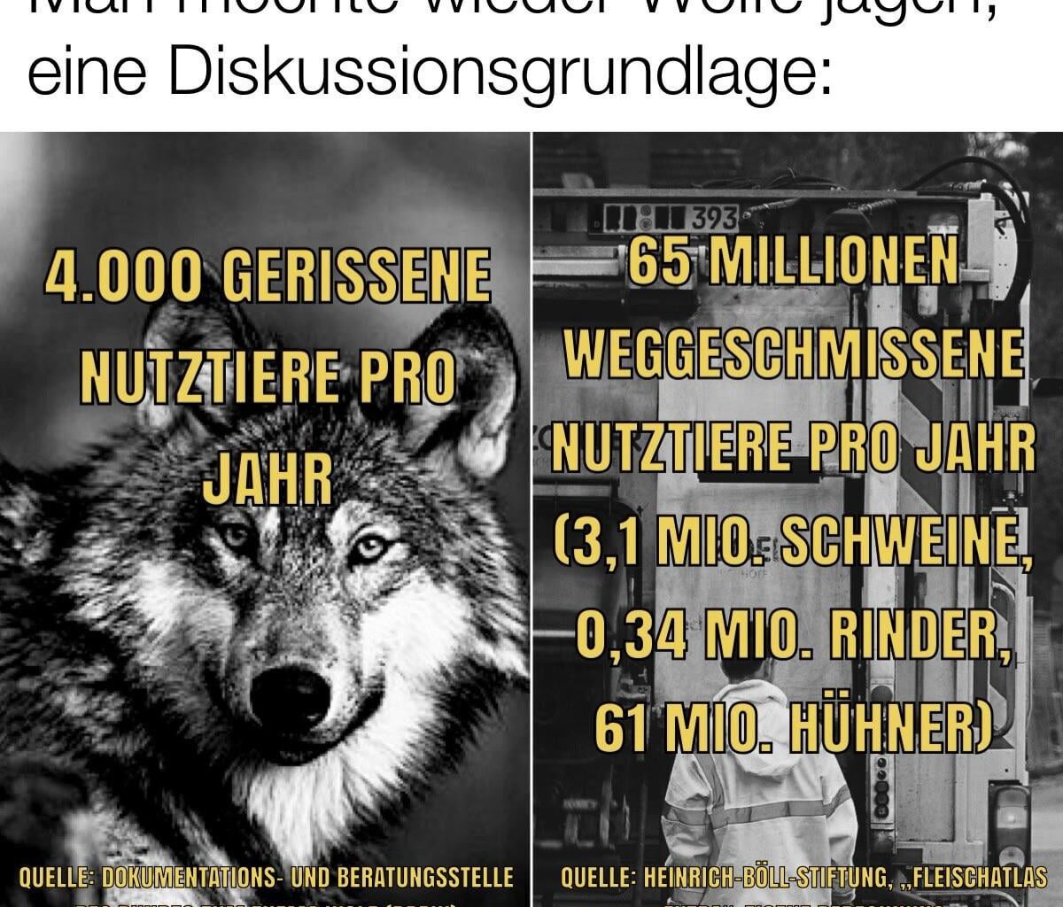 Niemand geht an mein Schnitzel!