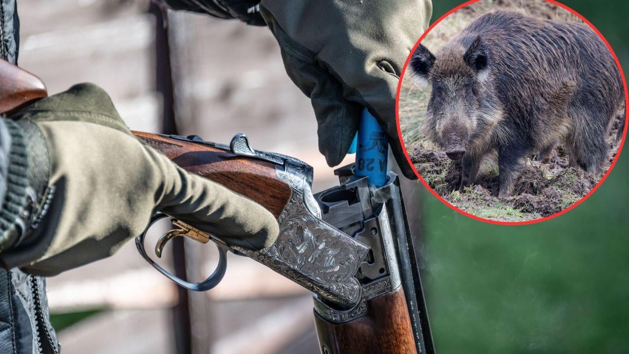 Polish hunter mistakes neighbor for a boar