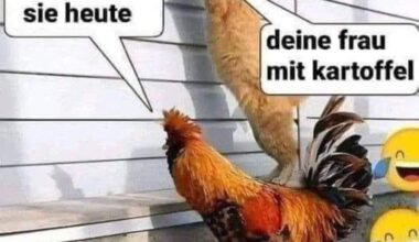 Kochendes Huhn