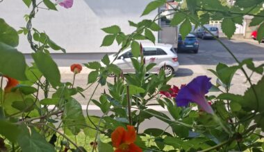 Meine bunte Fensterbank