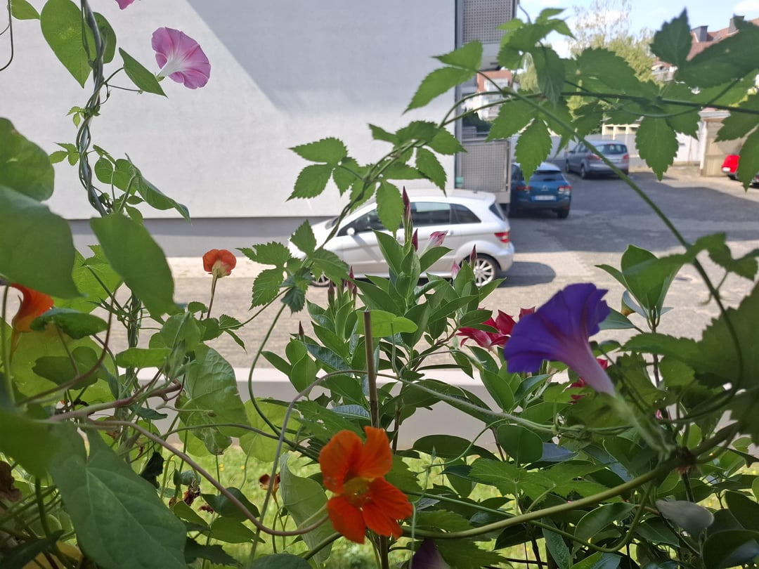 Meine bunte Fensterbank