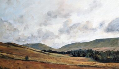 These are my oil paintings of beautiful Bannau Brycheiniog (The Brecon Beacons) at sunrise ✨
I had the absolute joy of hiking the Pen y Fan horseshoe ridge walk at dawn in autumn a few years ago. It was cold, muddy and unforgettable.