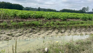 state of emergency required for flooded farms / Article