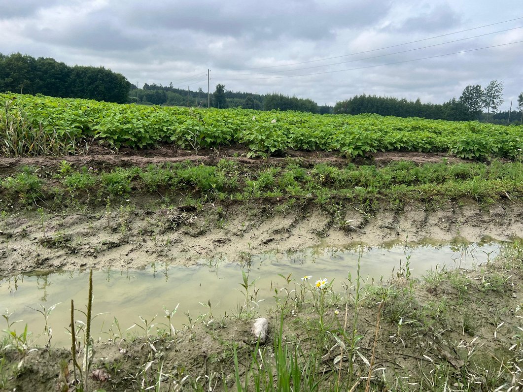 state of emergency required for flooded farms / Article