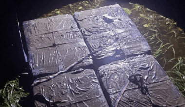 Illegal smokes raft spotted on Latvian-Belarusian border / Article