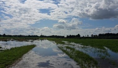 Latvia declares nationwide 'state of emergency' over adverse farming conditions / Article