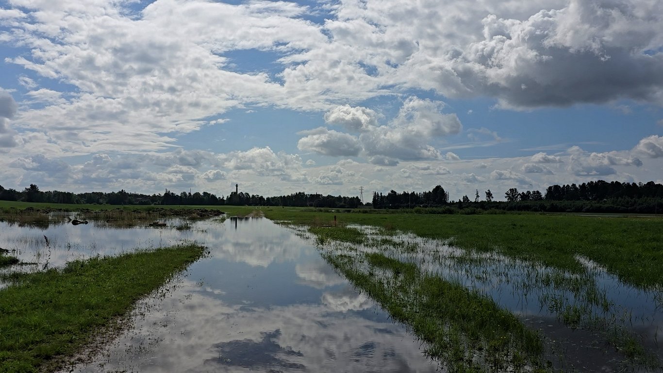 Latvia declares nationwide 'state of emergency' over adverse farming conditions / Article