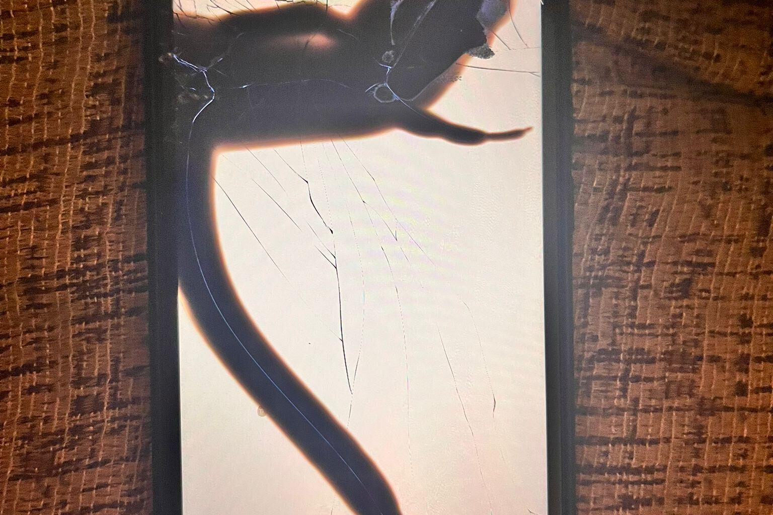 My phone screen looks like Croatia