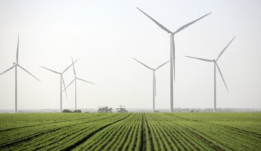 deberá pagar 97 millones a Eurus Energy, filial de Toyota