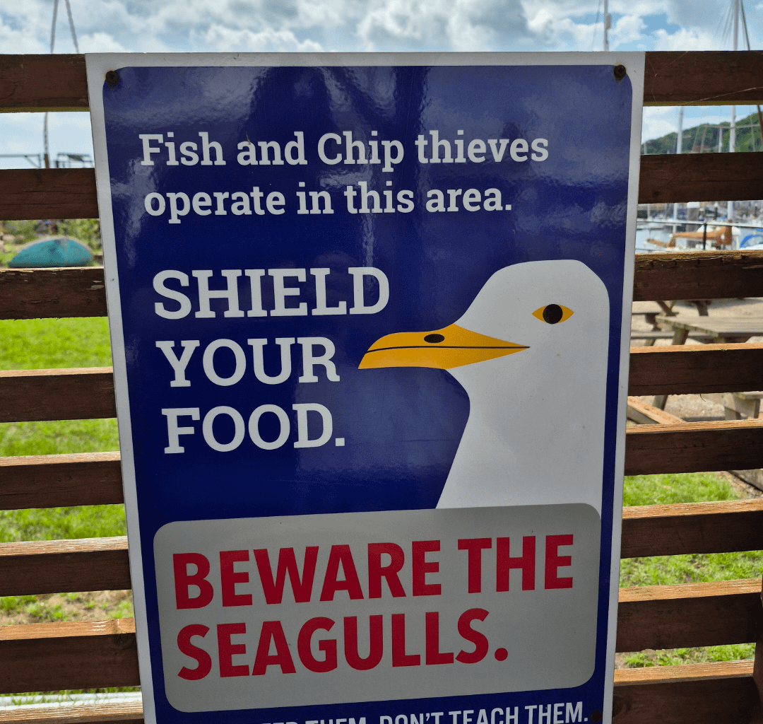 These warning signs have changed slightly since moving to Dover from central London.
