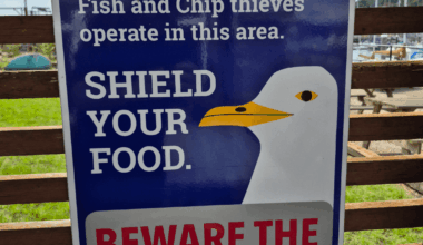 These warning signs have changed slightly since moving to Dover from central London.