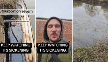 To protect the environment, if you see something, say something.