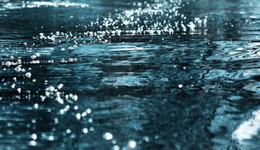 Man dies following 'water incident' at Auckland marina