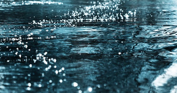 Man dies following 'water incident' at Auckland marina