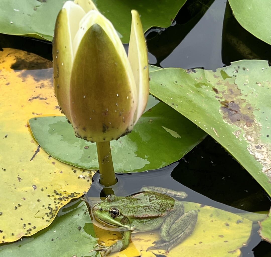 Heute einige Tierchen entdeckt