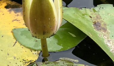 Heute einige Tierchen entdeckt