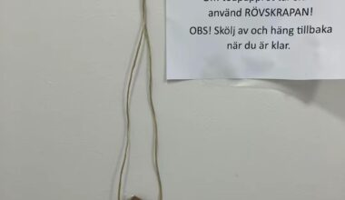 Rövskrapa