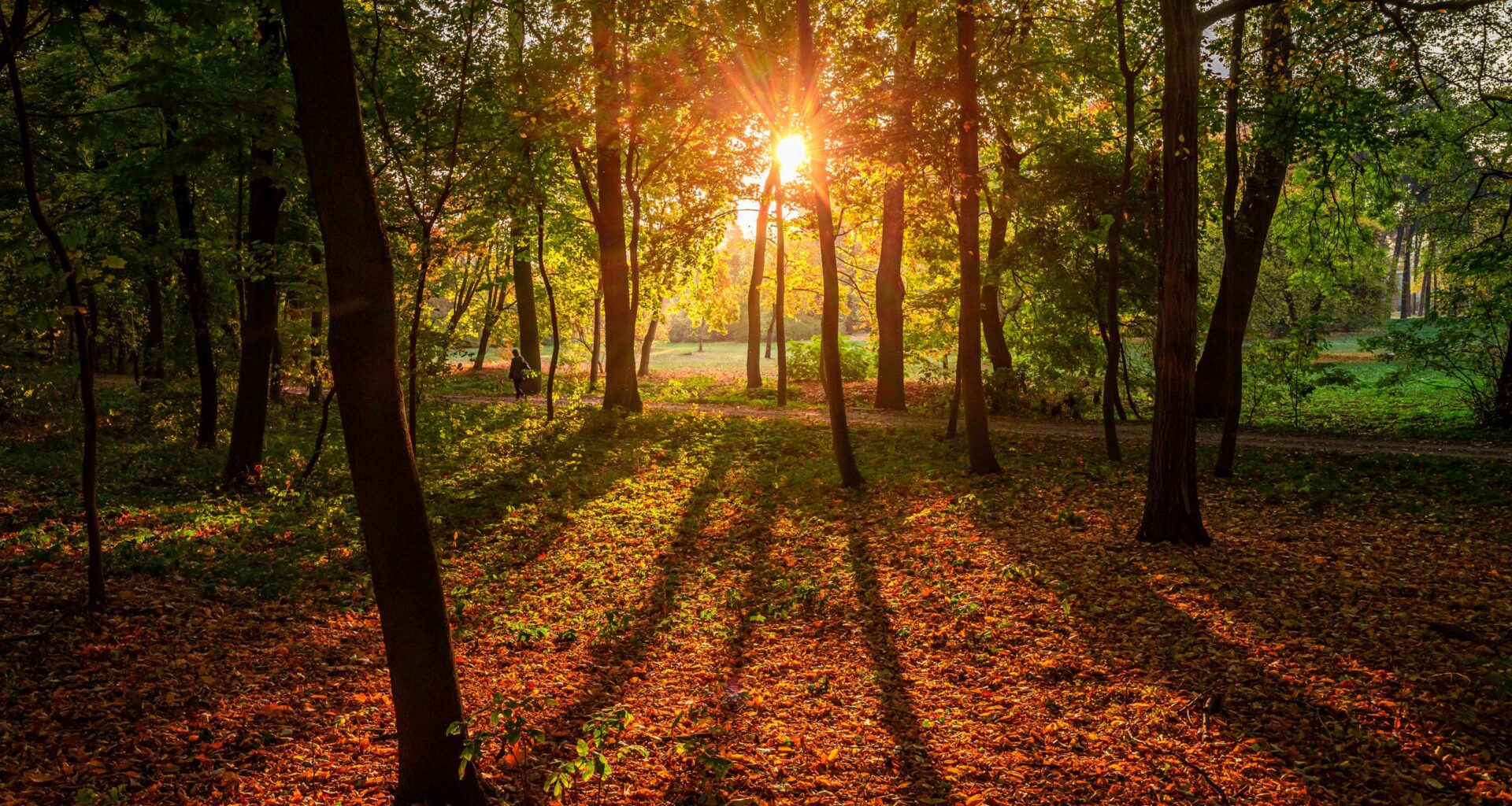 We are about a month away from autumn officially starting, it's dark by 9pm, it's cooler. I love autumn, it's the best season!