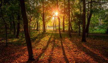 We are about a month away from autumn officially starting, it's dark by 9pm, it's cooler. I love autumn, it's the best season!