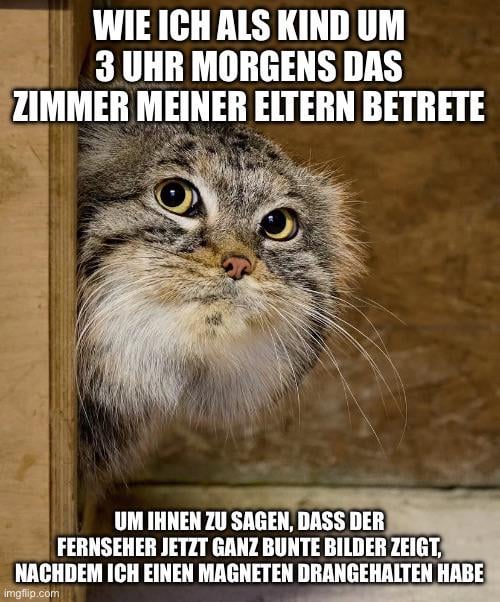 Ich_iel