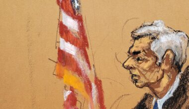 Trump admin better-placed than courts to release Epstein files, judge says