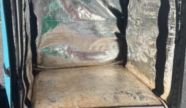 Bør Wolt bude kontrolleres?