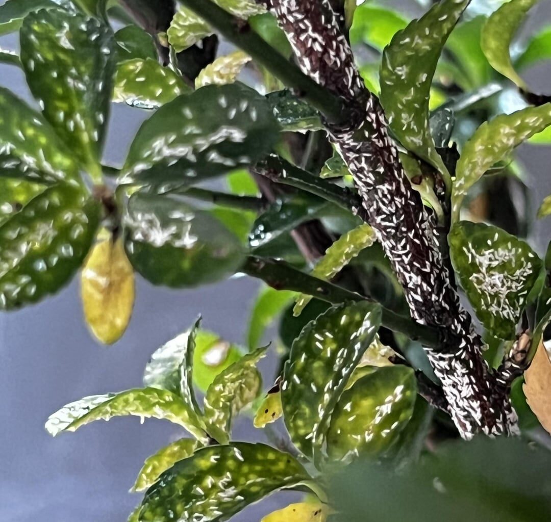 Habe ich ein Problem?