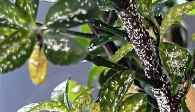 Habe ich ein Problem?