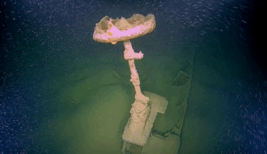 31 shipwrecks found in Germany, including one believed to be steamer destroyed in WWII air raid
