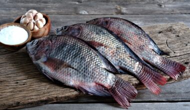 Catch the Current episode 30: Looking for signs of life in seafood amid Trump's trade war