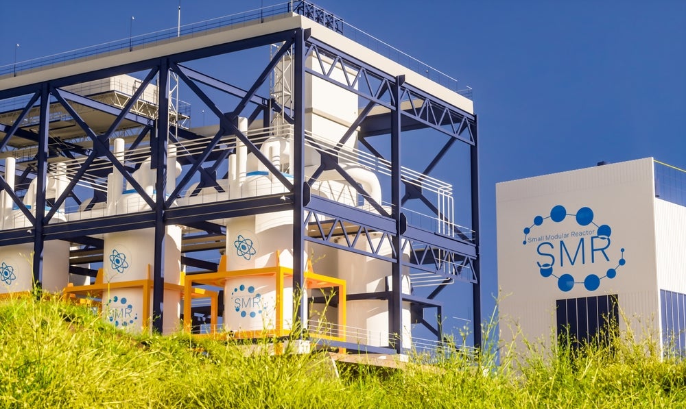 Are small modular reactors the future of energy?