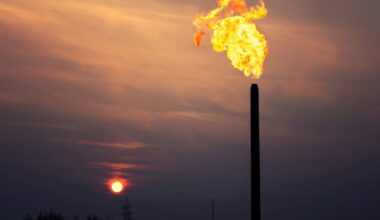 Hungary’s Oil and Gas Output Climbs Further in Early 2025