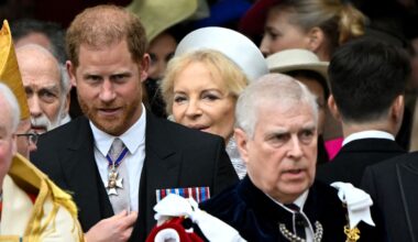 The Duke of Sussex and his uncle at the King's coronation in 2023. Pic: Reuters