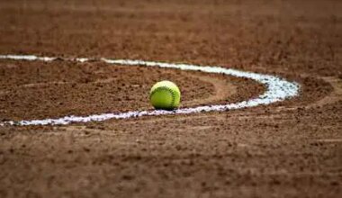 Denmark and Mishicot Softball To Be Honored by Manitowoc County
