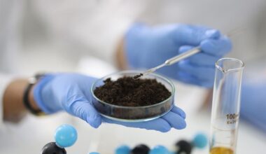 Science journal spotlights AUS study on sustainable soil systems