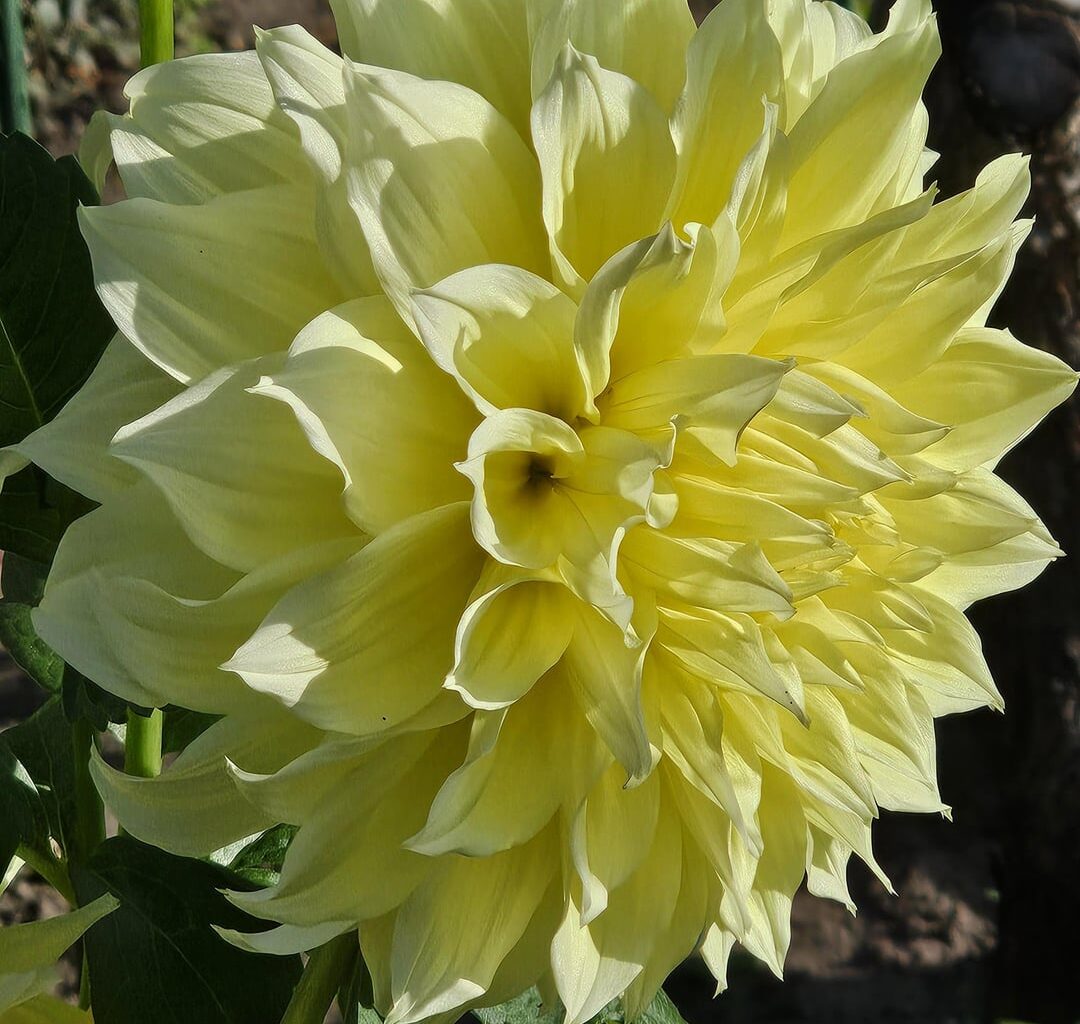 Bin ich nicht schön