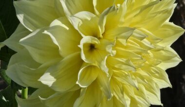 Bin ich nicht schön