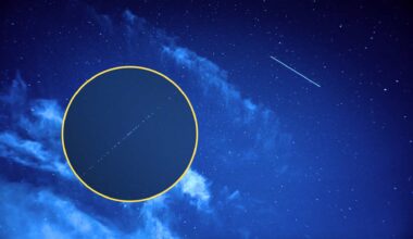 Starlinki 02.08.2025