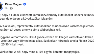 MP az index kutatásokról