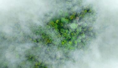 Earth’s climate is approaching irreversible tipping points