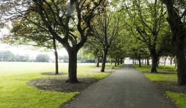 Unsupervised teen charged with stabbing man six times in Dublin park