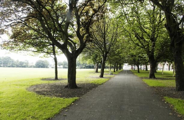 Unsupervised teen charged with stabbing man six times in Dublin park