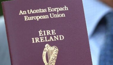 Irish passport service should put US applicants 'at bottom of the waiting list', TD says