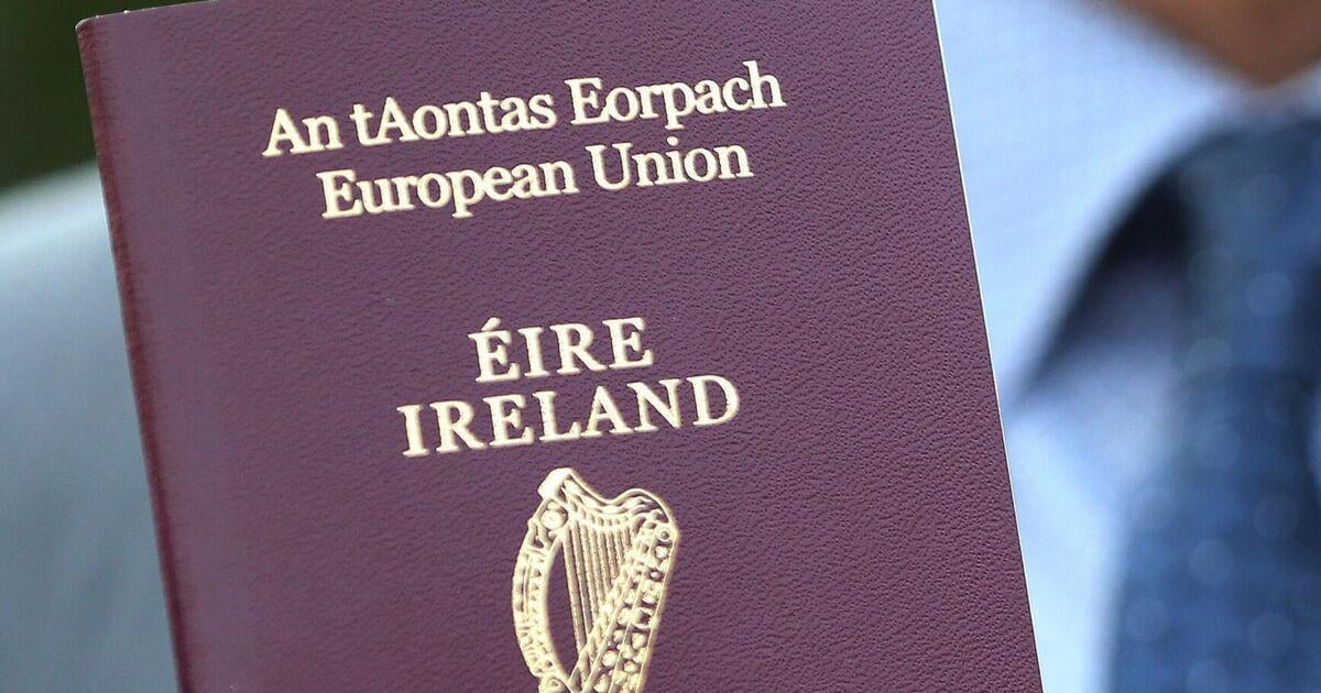Irish passport service should put US applicants 'at bottom of the waiting list', TD says