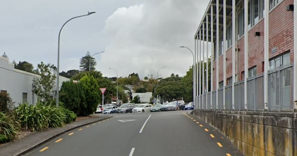 Auckland police name 83-year-old who died after being hit by bus