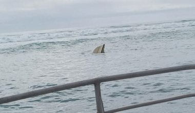 Man fined after boat capsizes on Raglan bar, trapping wife and himself